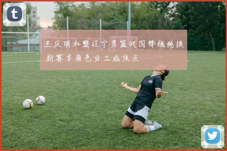 王庆明加盟辽宁男篮巩固锋线轮换 新赛季角色分工成焦点